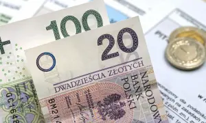 Złotówki na papierach podatkowych. Zastanawiasz się, ile można zarobić bez rejestracji firmy?