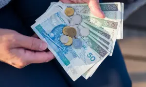Ręce trzymają polskie banknoty i monety. Obrazek może pomóc zrozumieć, jak wyliczyć wskaźnik zatrudnienia w DPS.