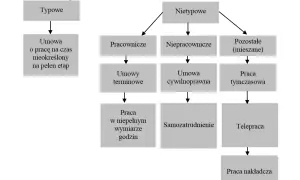 Co to jest zatrudnienie? Kluczowe informacje o prawie pracy i formach zatrudnienia