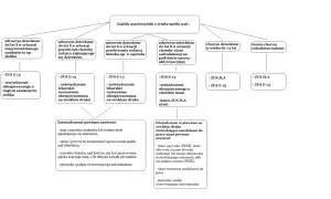 Schemat przedstawia sytuacje uprawniające do zasiłku macierzyńskiego z tytułu opieki na dziecko, wymagane dokumenty (ZUS Z-15, ZUS ZLA) oraz szczegóły dotyczące zaświadczeń.