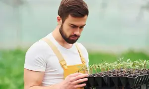 Umowa zlecenie 25 brutto ile to netto? Sprawdź, ile naprawdę zarobisz